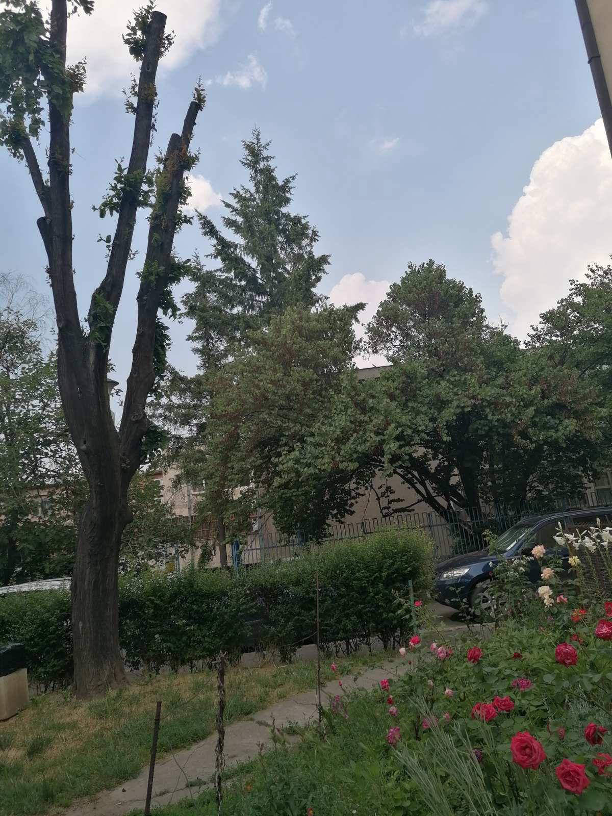 Квартира, 506 м², 84 240$ — FAKTOR